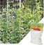 Plant Trellis Netting 1.67m x 10m Clearance Carousel 7
