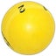GRAY-NICOLLS SPIN TRAINING CRICKET BALL Carousel 1