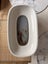 Avent steriliser Carousel 5
