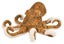 Loading Image 1 of 1
