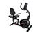 Recumbent Bike Carousel 10