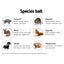 Extra Large Animal Trap Humane Cage Possum Fox Koala Rabbit Bird Cat Carousel 8