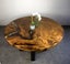 KAURI SLAB ( NZ NATIVE ) - ROUGH SAWN - 600-650 x 50mm x 3.9m - TS7370 Carousel 19