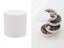 PTN NEW Jewelry Box Sale Sale Carousel 5