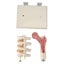 Loading Image 4 of 4