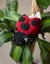 TOFT AVA THE LADYBIRD KIT Carousel 5