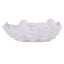 Splosh: Palm Cove Trinket Dish - Clam (Large) Carousel 2