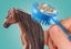 Playmobil: Zoe & Blaze with Tournament Area (71355) Carousel 4