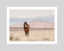 Wild Horse Art Print Carousel 1