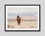 Wild Horse Art Print Carousel 4