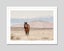 Wild Horse Art Print Carousel 5