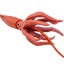 Safari Ltd Giant Squid Carousel 3