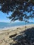 Weekend chill spot - orere point Carousel 7