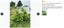 Cucumber Trellis for Raised Bed Sale NZ Stock Deal Carousel 9