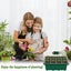 Garden Seed Propagator Clearance Carousel 12