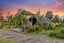 gallery view thumbnail