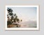 Palm Beach Art Print Carousel 6