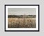 Blossomed Field by Antoine Chintreuil Art Print Carousel 4