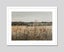 Blossomed Field by Antoine Chintreuil Art Print Carousel 5