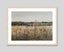 Blossomed Field by Antoine Chintreuil Art Print Carousel 6