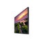 Loading Image 2 of 4