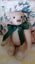 VINTAGE TEDDY BEAR Carousel 2