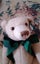 VINTAGE TEDDY BEAR Carousel 1
