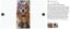 New Anti Bark Dog Collar on Afterpay Carousel 12