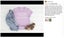 Heat Transfer Vinyl Roll Paper 12 Colour Carousel 6