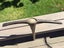 Gilpin Pick Axe – Vintage Pick Axe with Original Handle - made in England Carousel 6