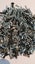 Apple / Mac, 200 Grams of Assorted Mac/ Apple Device Screws Carousel 1