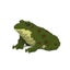 Loading Image 1 of 2
