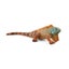 Loading Image 1 of 2