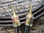 Esoteric Audio Ultra Signature speaker cable Carousel 6