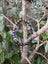 EVIL EYE PROTECTION BRACELET (ONE of a KIND) #REIKI INFUSED# NZ MADE #UNISEX# Carousel 2