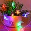 Solar lights outdoor *Clearance Carousel 3