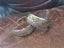 Silvertone Machine Cut Earrings Carousel 1