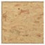 Terrarium Engineered Wood 80x40x40 Cm Oibnnl Carousel 3