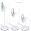 FAN Carousel 2
