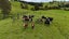 gallery view thumbnail