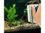 Fish Tank Cleaner NZ Clearance Carousel 11