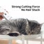 Cordless Dog Clipper Rechargeable Pet Hair Trimmer Low Noise Professional Cat... Carousel 3