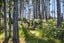 gallery view thumbnail
