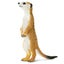 Loading Image 1 of 5