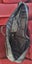 **PS2 - Guitar Case / Rockband / Guitar Hero / Rockband (Case Only)** Carousel 9