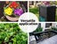 Lambu 90cm Soil Thermometer Compost Ground Stainless Steel 0-120? Fertilizer Carousel 7