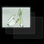 Loading Image 1 of 6