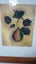 2 FRAMED PAINTINGS Carousel 5