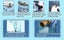 Loading Image 8 of 8