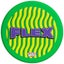Wicked Sky Rider Flex Flying Disc Carousel 4